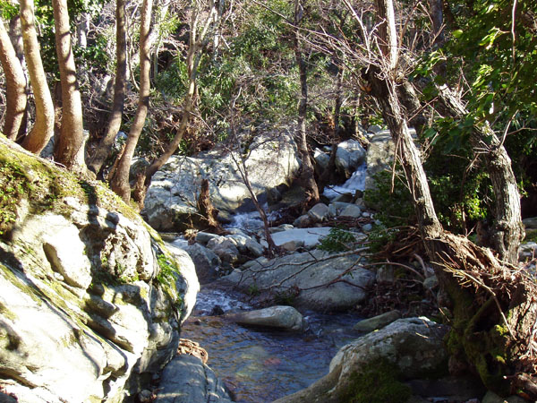 remmata katakoilos andros